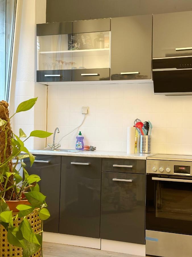 Igo Apartment 2 Schlafenzimmer Mit Waschmaschine Trockner Haustier Rheinufer 5Min Netflix Disney Plus 17-6 Duisburg Exterior photo